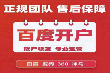 某电商平台的SEM推广策略全解析